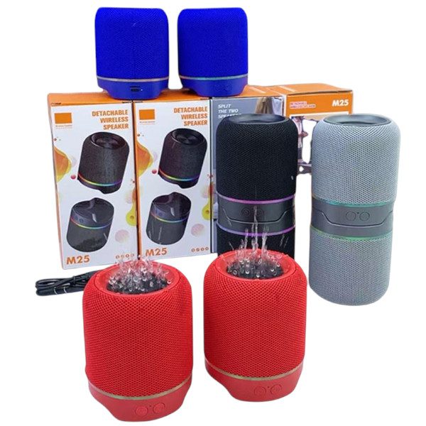 M25 Two-In-One Split Wireless DJ Speaker