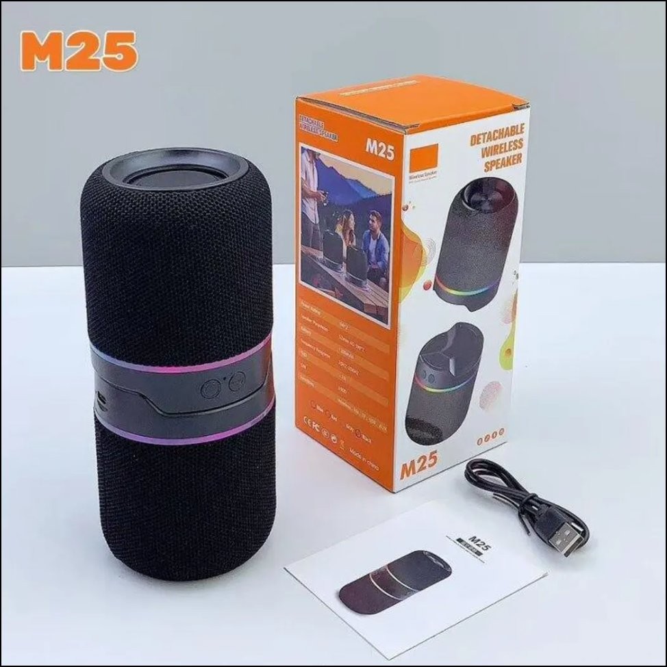 M25 Two-In-One Split Wireless DJ Speaker